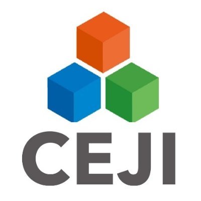 Creative Energy Join International (CEJI)