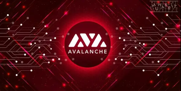 Avalanche trở thành blockchain lớn thứ 3 nhưng đừng vội kết luận