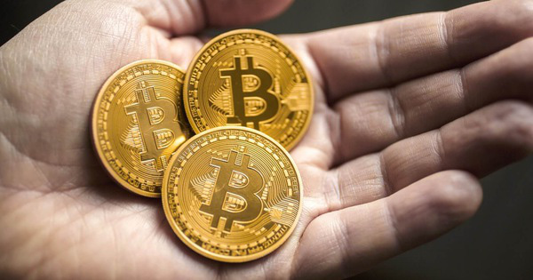 Ark Invest đầu tư hơn 500K USD vào Bitcoin, đặt niềm tin vào Ethereum