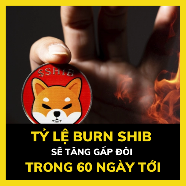 Tỷ lệ burn SHIB tăng gấp đôi trong 60 ngày tới