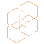 Interlace Network