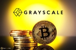 Các quỹ đầu tư tiếp tục rót vốn vào Grayscale Bitcoin Trust khi mà mức chiết khấu GBTC lên đến gần 30%